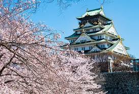 桜　大阪城